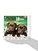 Chocolate Lab Puppies 2016 Calendar