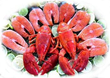 Large Lobster and Salmon Lover, 2 Lobsters and 8 Salmon Steaks by Charleston Seafood