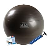 SPRI Xercise Ball