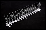 Pigeon Deterrent Gutter Spike - 6ft. Box