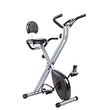 Sunny Health & Fitness Folding Recumbent Bike, Gray