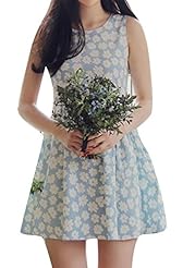 Short Denim Floral Print  Dress