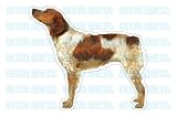 Pet Supplies : BRITTANY - Dog Decal - sticker dogs car got window gift