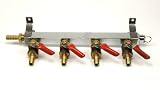 4-way CO2 Gas Manifold with Safety and Check Valves