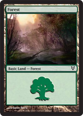 Magic: the Gathering - Forest (242) - Avacyn Restored - Foil