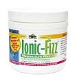 Pure Essence, Raspberry Lemonade, Ionic Fizz Magnesium Plus 342g