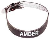 Padded 4 Weight Lifting Belt S