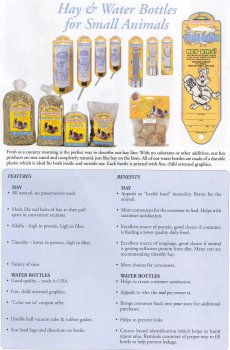 Sun Seed Water Bottle