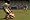 FIFA 07 (Xbox)