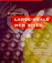 Designing Large-Scale Web Sites: A Visual Design Methodology