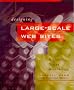 Designing Large-scale Web Sites: A Visual Design Methodology