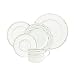 Royal Doulton Precious Platinum 5-Piece Place Setting, Service for 1