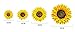 1 PCS Removable 3D Sunflower Wall Sticker Home Decor Room Decals Stickers 20CM /25CM/30CM/40CM (20cm)