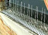 Tools & Hardware : Stainless Steel 8' spikes - 10ft