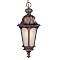 Frosted Glass 1 Light Hanging Lantern– Black Gold