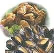Mussel Sampler