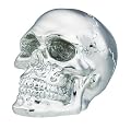 Chrome Skull Shift Knob for Manual Transmission