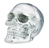 Chrome Skull Shift Knob for Manual Transmission