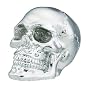 CHROME SKULL SHIFT KNOB, SS-6308
