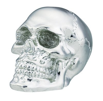 Chrome Skull Shift Knob for Manual Transmission