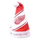 Detroit Red Wings HIMO Colorblock Santa Hat