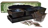 Seeds of Joy - Black Aromatic Wooden Trio (Black)