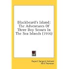 Click here to buy Blackbeard's Island: The Adventures Of Three Boy Scouts In The Sea Islands (1916) by  Rupert Sargent Holland and Will Thomson.