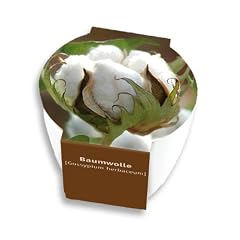 Premium-Pflanzset 'Baumwolle'