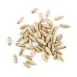 Rye Berries - 25 Lb Bag Each