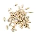Rye Berries - 25 Lb Bag Each