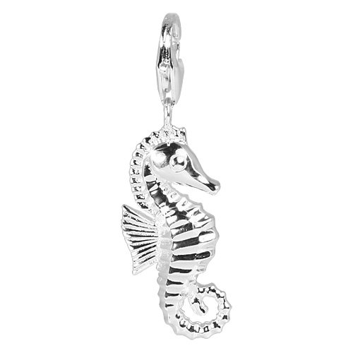 Silber Charm