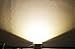 GLW 20W LED Floodlight Warm White Waterproof 110V AC Flood Light 10W 12V DC White Waterpoof Outdoor Security Floodlight 100W Halogen Equivalent
