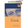 Zizek: A Critical Introduction (Key Contemporary Thinkers)