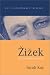 Zizek: A Critical Introduction (Key Contemporary Thinkers)