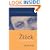 Zizek: A Critical Introduction (Key Contemporary Thinkers)