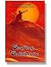 Sporting Goods : Surfing California: A Complete Guide to the California Coast