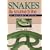 Snakes and Snake Bite in Southern Africa (Nature Guides)