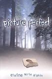 Picture Perfect (Young Adult Fiction)