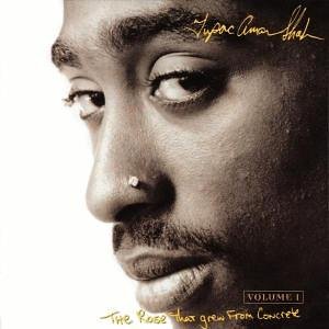 CD-Charts  Music : The Rose That Grew from Concrete