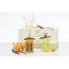Antica Farmacista Vanilla and Grapefruit Collection of Two Diffusers