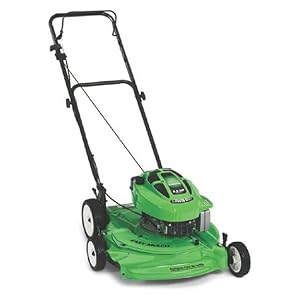 Lawn Boy 6.5 HP Walk Power Mower 10272