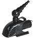 SF POND ECO 8000 - 80 WATT
