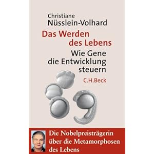 Das Werden des Lebens: Wie Gene die Entwicklung steuern