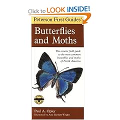 Peterson First Guide to Butterflies and Moths