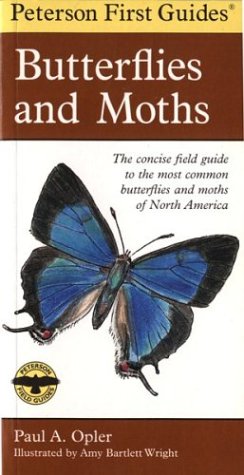 Peterson First Guide to Butterflies and Moths (Peterson First Guides (R))