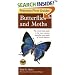 Peterson First Guide to Butterflies and Moths (Peterson First Guides (R))