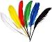 20 Indianerfedern bunt 12-15cm