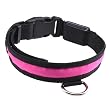 Adjustable LED Illumination Pet/Dog Collar, Medium, Pink Adjustable LED Illumination Pet/Dog Collar, Medium, Pink