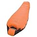 Coleman Exponent Cloudcroft X 0-Degree Mummy Bag