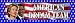Search : Clinton/Obama - American Dream Team Bumper Sticker
